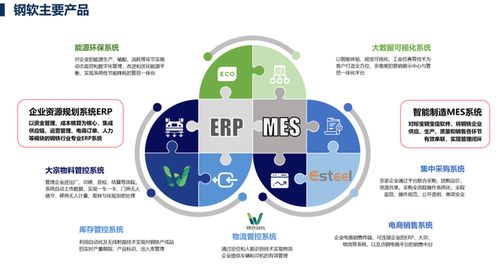 上海軟件開發 機遇、挑戰與未來展望